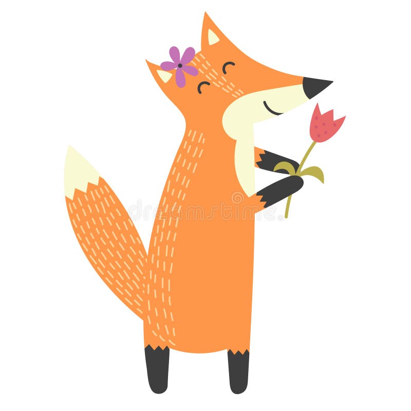 Funny isolated fox with a flower