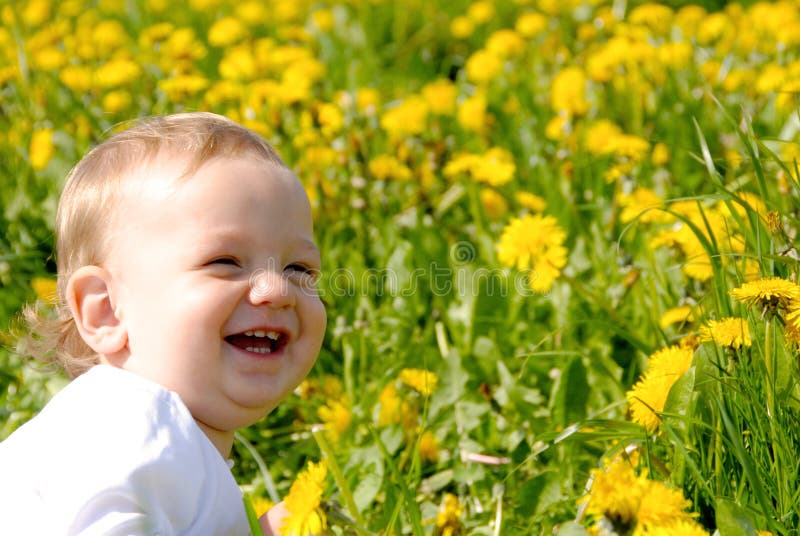 Funny Laughing Toddler Portrait Stock Photo Image of smile, caucasian