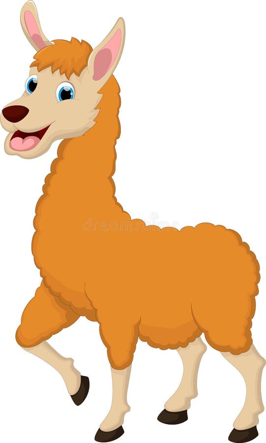 Funny Llama Cartoon Smile White Bacground for You Design Stock ...