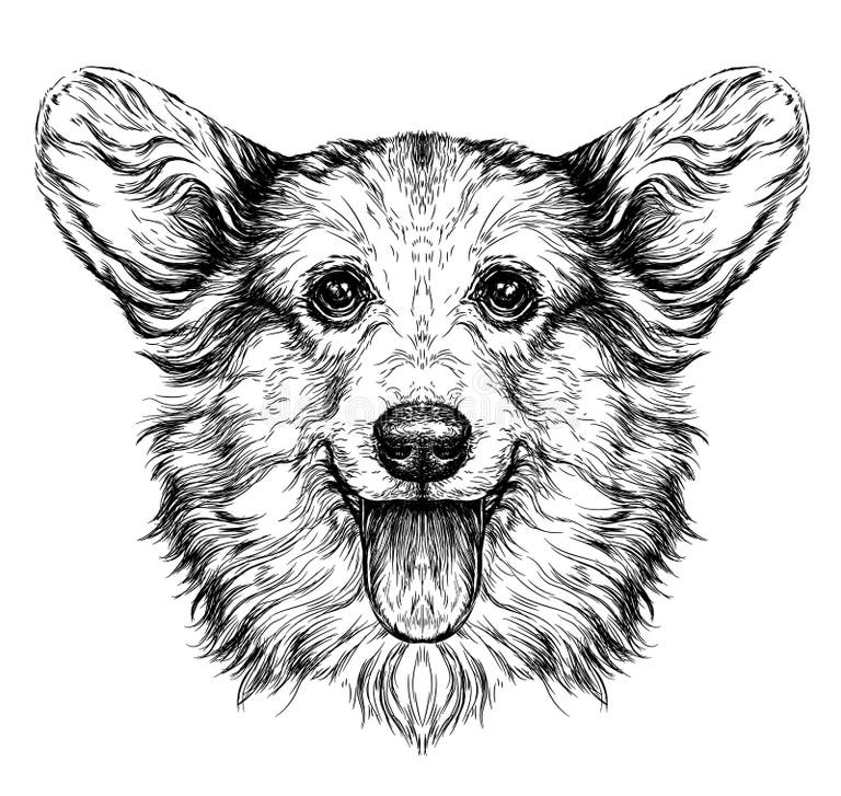 Dog Sketch Stock Illustrations – 86,732 Dog Sketch Stock Illustrations ...