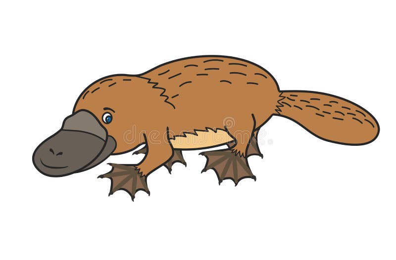 funny looking platypus cartoon funny looking platypus cartoon