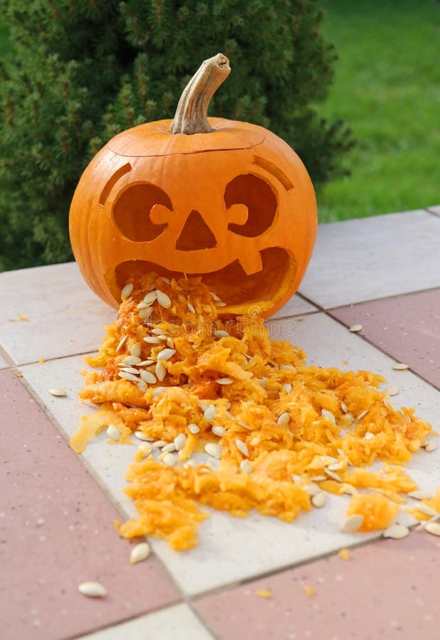 Pumpkin vomit stock photo. Image of pumpkin, isolated 6248126