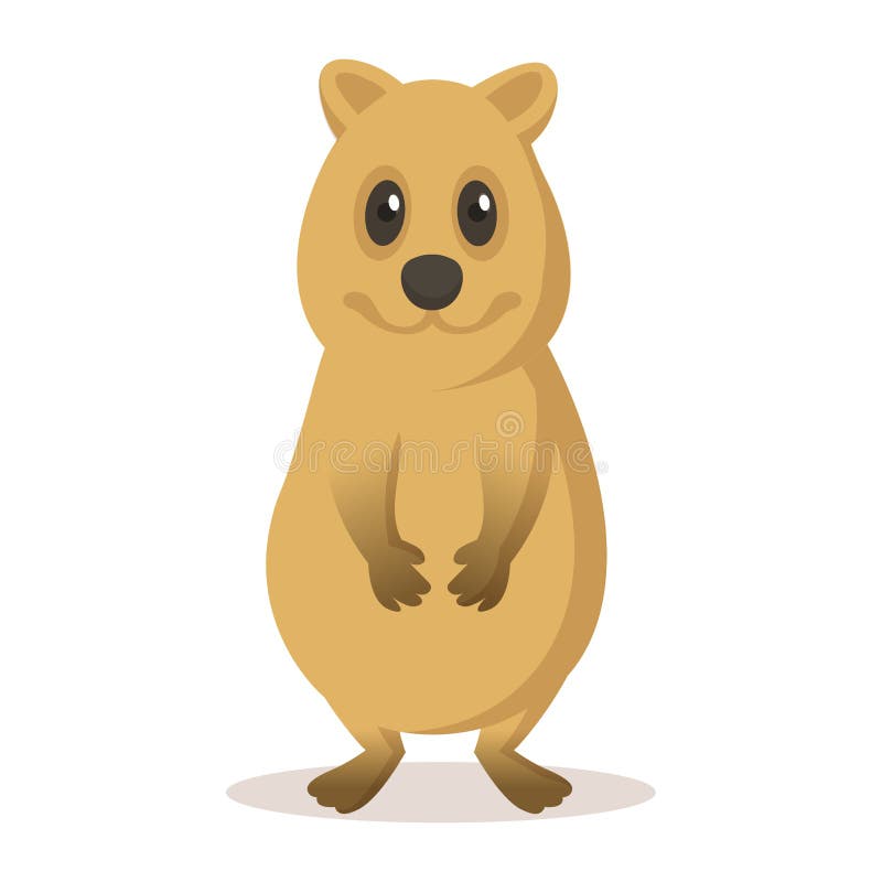 Funny Quokka Smiling. Flat Vector Illustration, Isolated on White