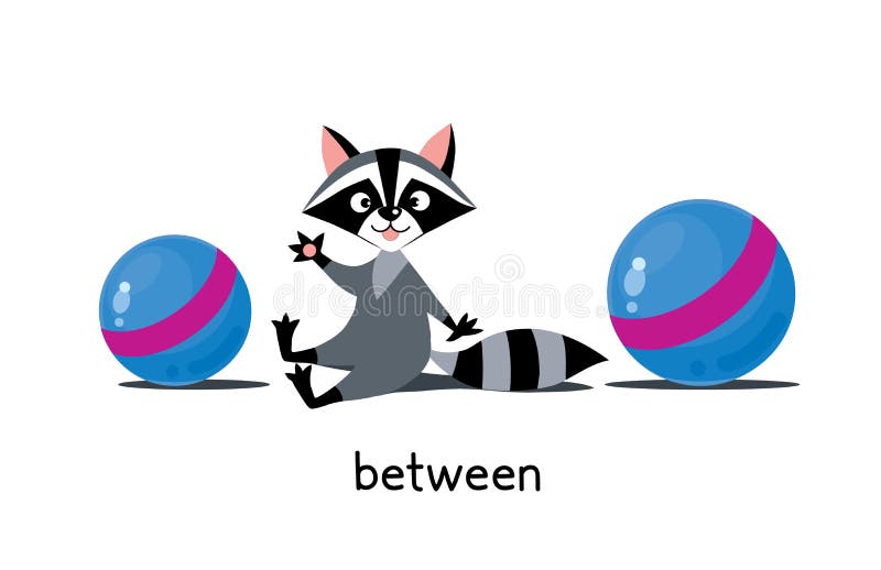 Preposition of Place. Raccoon between Two Balls Stock Illustration - Illustration of animal, friend: 159843325 Preposition of Place. Raccoon between Two Balls Stock Illustration - Illustration of animal, friend: 159843325
