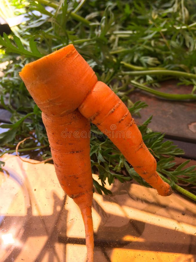 A carrot with two long legs Stock Photo - Alamy