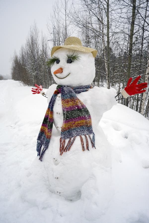 Funny Smiling Snowman Standing in the Woods . Stock Photo - Image of ...