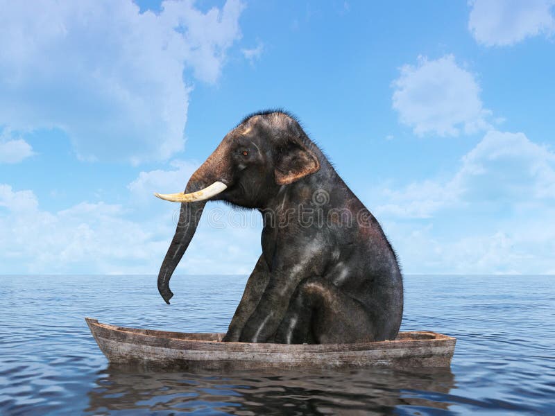 Smiešny neskutočný slon je obsadenie nezakotvený v oceán alebo more zatiaľ čo plávajúce v loďka.