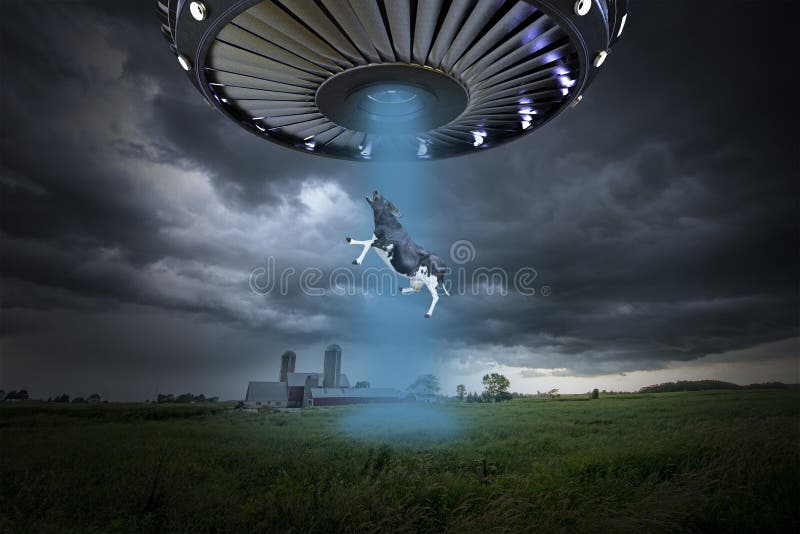 Funny surreal UFO alien abduction of a cow. The farm animal is being kidnapped into outer space on a spaceship.
