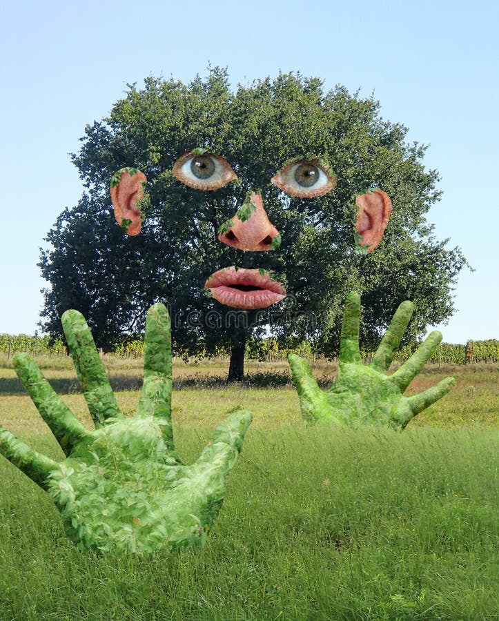 Funny Tree with human Hands and Face in a Green Field vector illustration