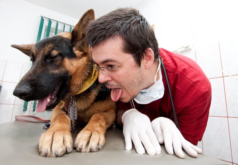 Imitating Dog Photos Free Royalty Free Stock Photos From Dreamstime