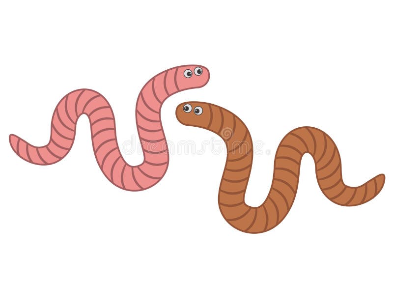 Worms Stock Illustrations – 6,025 Worms Stock Illustrations, Vectors &  Clipart - Dreamstime