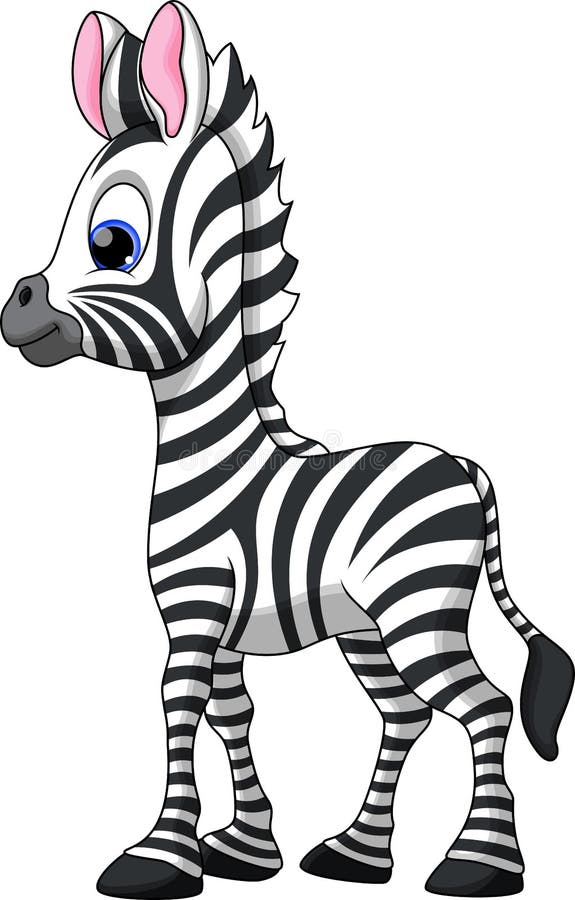Funny zebra cartoon stock illustration. Illustration of ...