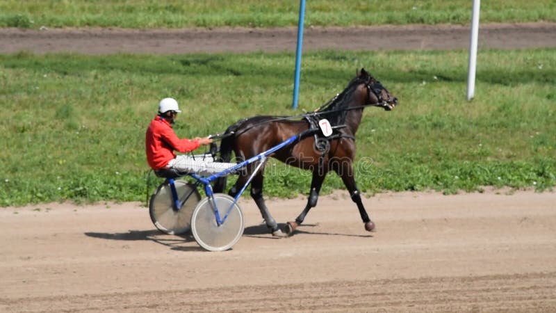 Funzionamento della puleggia tenditrice del carretto sulla pista di corsa