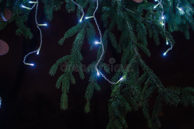 Fuochi d'artificio allo spazio della copia e del nuovo anno - fondo astratto di festa fotografia stock libera da diritti Fuochi d'artificio allo spazio della copia e del nuovo anno - fondo astratto di festa fotografia stock libera da diritti