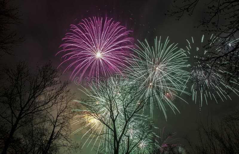 Fuochi d'artificio nel cielo sopra gli alberi immagine stock libera da diritti Fuochi d'artificio nel cielo sopra gli alberi immagine stock libera da diritti