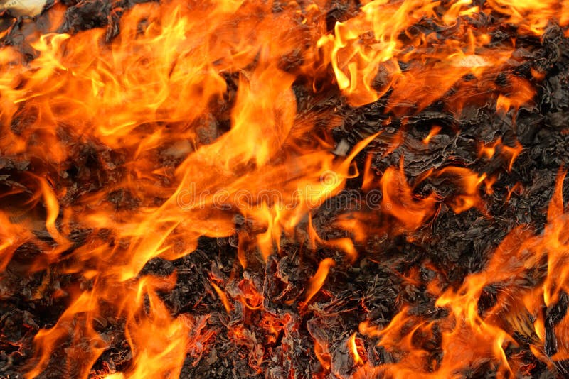 Fuoco immagini stock