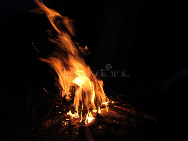 Fuoco luminoso del campo in una notte di estate fotografia stock Fuoco luminoso del campo in una notte di estate fotografia stock