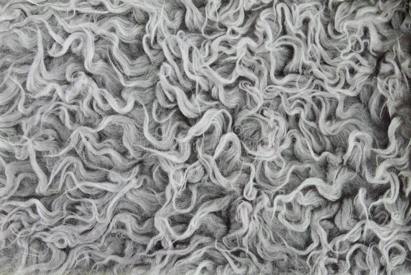 Close-up of fur background