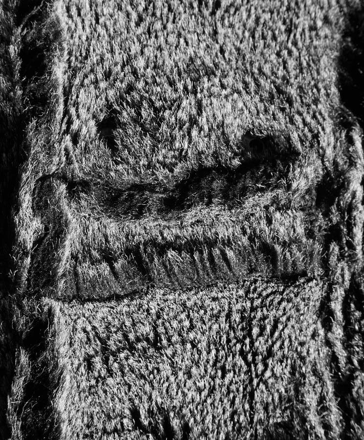 Dog coat texture stock photo. Image of pointer, canine 38177966