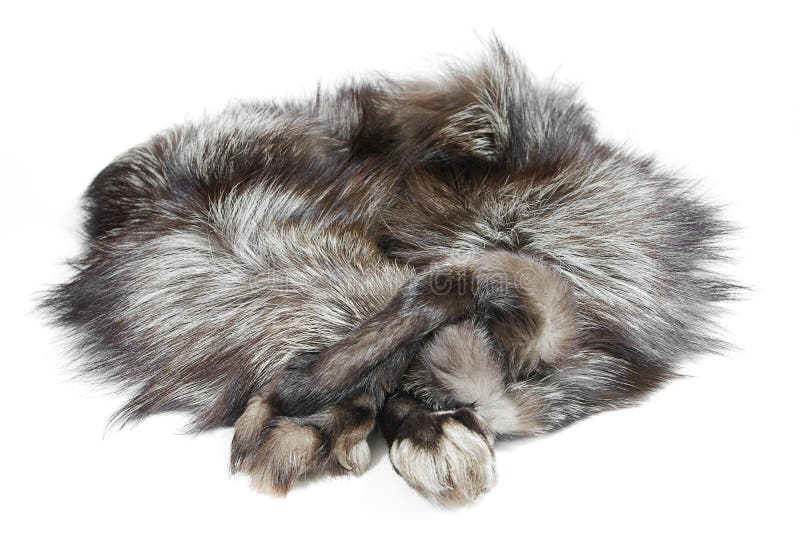 Fur silver fox with arms