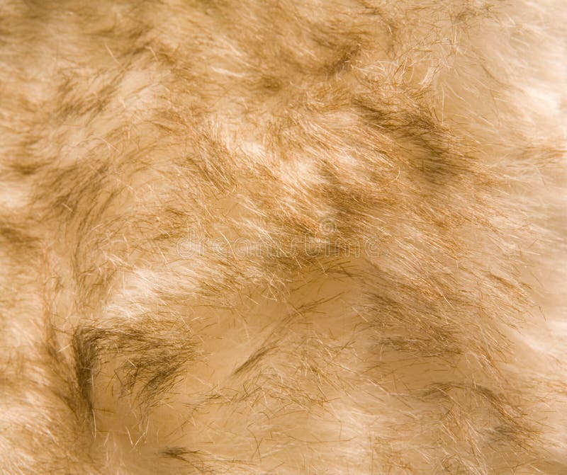 Fur texture