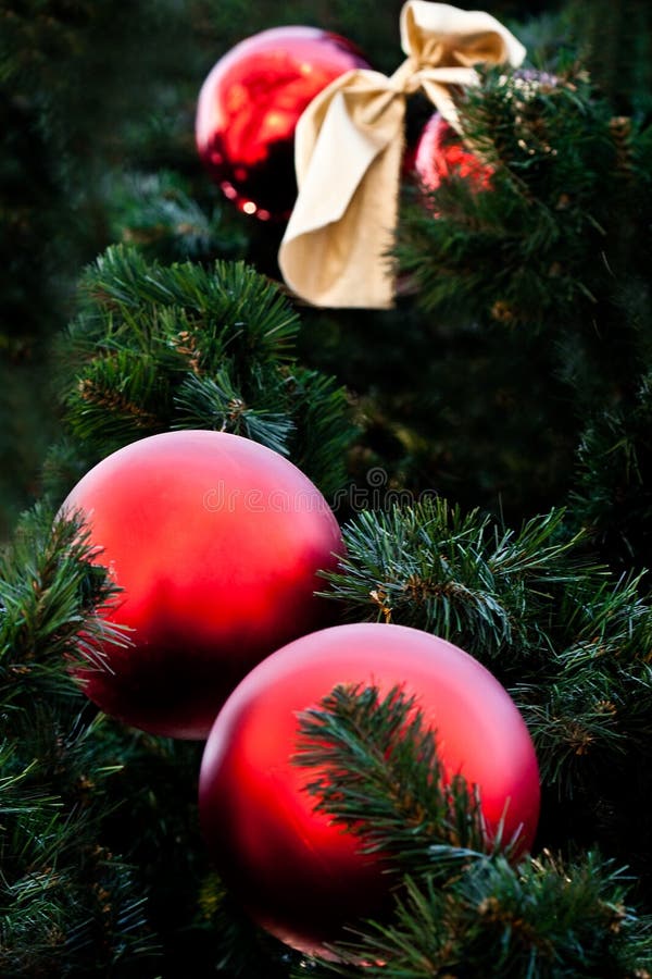 Fur-tree with red balls