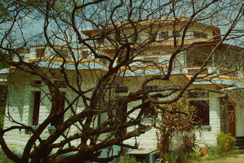 Furchtsames altes schauendes Gutshaus mit einem Baum auf einen Hügel lizenzfreies stockbild Furchtsames altes schauendes Gutshaus mit einem Baum auf einen Hügel lizenzfreies stockbild