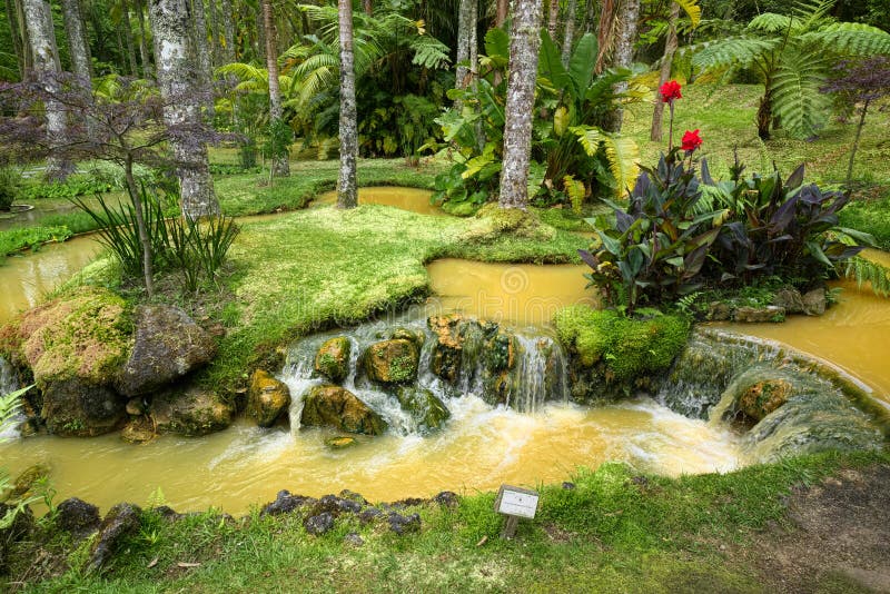 FURNAS, AZORES, PORTUGAL - JUNE 27, 2017: Streams of natural mineral water of yellow color across Terra Nostra Garden, located in Furnas town on Sao Miguel island of Azores, Portugal. FURNAS, AZORES, PORTUGAL - JUNE 27, 2017: Streams of natural mineral water of yellow color across Terra Nostra Garden, located in Furnas town on Sao Miguel island of Azores, Portugal.