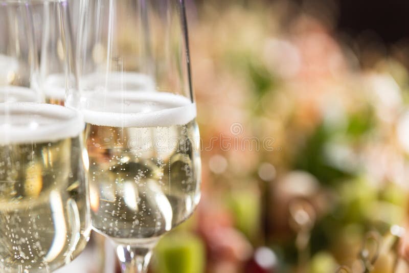 Spread of alcoholic beverages for celebration toasting at wedding reception. The waiter pours the champagne into the glasses. Table top full of glasses of sparkling white wine with bottles in the background. Spread of alcoholic beverages for celebration toasting at wedding reception. The waiter pours the champagne into the glasses. Table top full of glasses of sparkling white wine with bottles in the background.