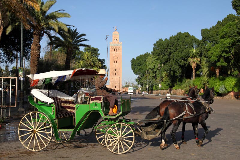 Fury djemaa el fna koński Marrakesh kwadrat zdjęcie royalty free
