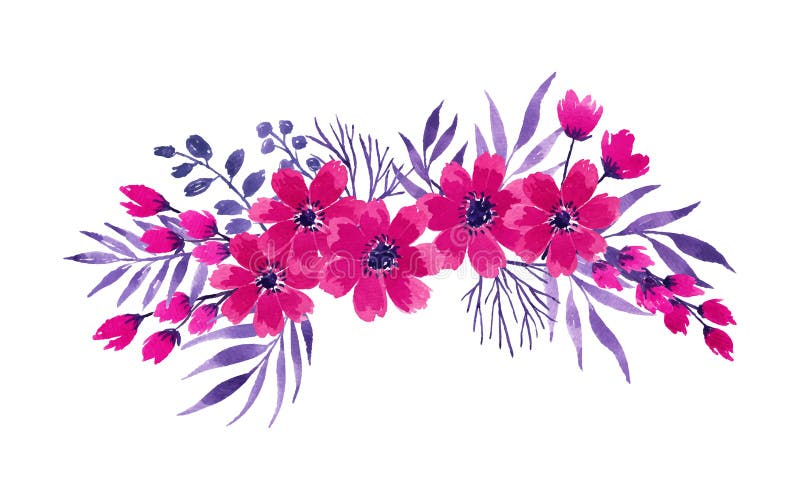 Fuschia Rose Ilustraciones de stock – 46 Fuschia Rose Ilustraciones de Stock y Clipart - Dreamstime