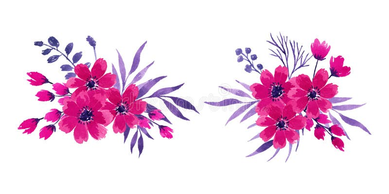 Conjunto de vectores de arreglos florales de acuarela fucsia, rosa y púrpura Stock Vector - Ilustración de planta, composición: 225428373