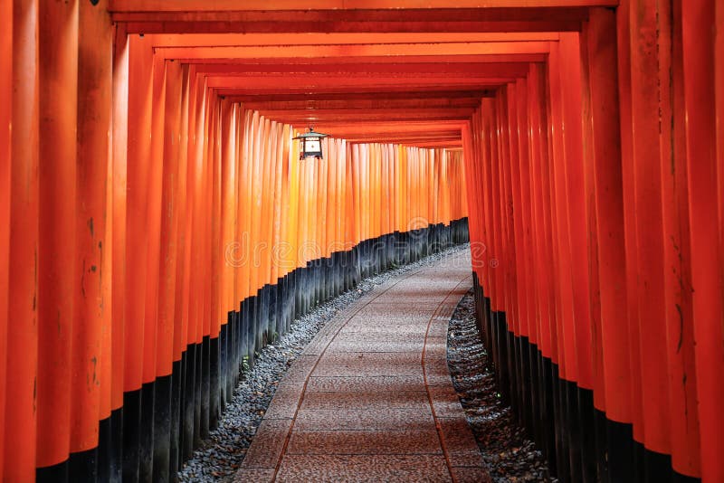 Fushimi Inari korridor arkivbild Fushimi Inari korridor arkivbild