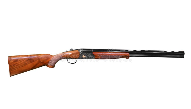 Fusil de chasse de chasse