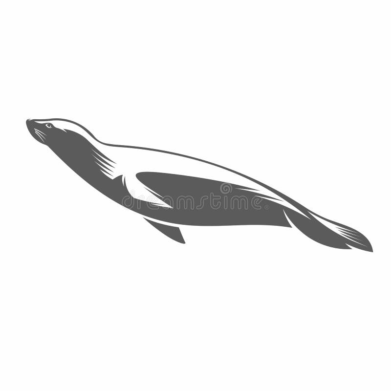 Futerkowa foka w wodnej czarny i biały wektorowej ilustraci