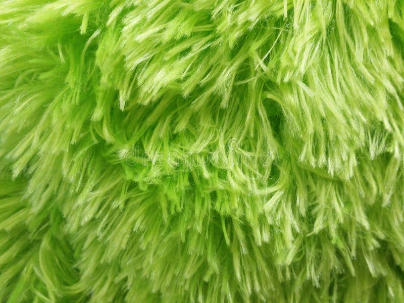 Fuzzy Green Background