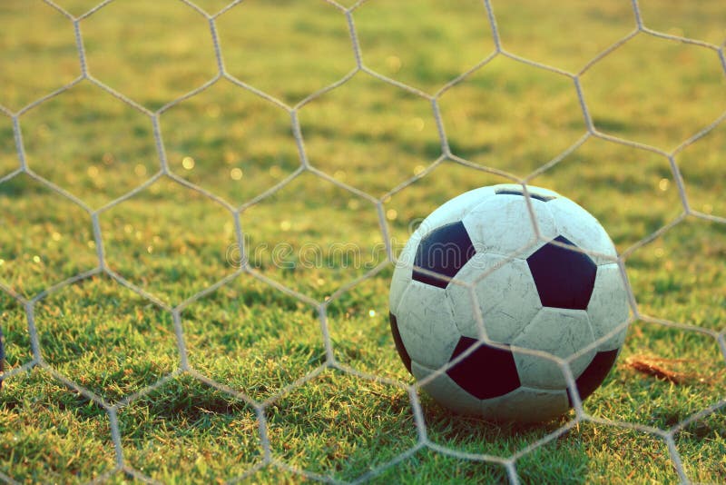 Fußballfußball im Zielnetz mit grüner Rasenfläche stockfotografie Fußballfußball im Zielnetz mit grüner Rasenfläche stockfotografie