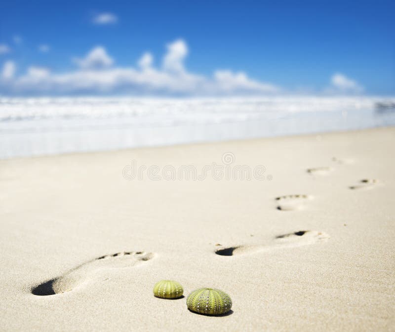 Fußdrucke auf einem sandigen Strand stockfotografie Fußdrucke auf einem sandigen Strand stockfotografie
