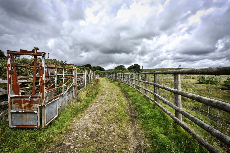 Fußweg, der zu Dartmoor führt Nationalpark Dartmoor in Großbritannien stockfotografie Fußweg, der zu Dartmoor führt Nationalpark Dartmoor in Großbritannien stockfotografie
