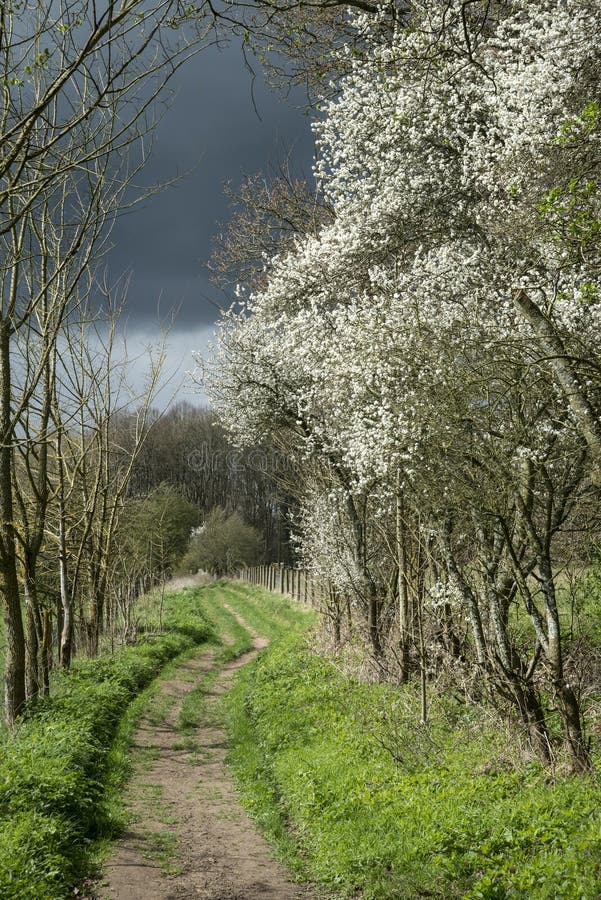 Fußweg in stürmischem englischem landsca Landschaft des Wetters im Frühjahr lizenzfreies stockfoto Fußweg in stürmischem englischem landsca Landschaft des Wetters im Frühjahr lizenzfreies stockfoto
