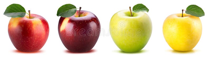 A set of four apples of different colors and different varieties isolated on a white background AI generated. A set of four apples of different colors and different varieties isolated on a white background AI generated