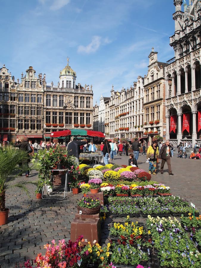 Fyrkant för ställe för storslagen marknad för brussels blomma medel royaltyfri fotografi