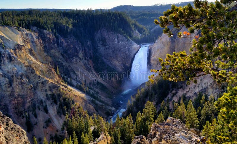 Fäll ned nedgångar, den Yellowstone nationalparken royaltyfri foto Fäll ned nedgångar, den Yellowstone nationalparken royaltyfri foto
