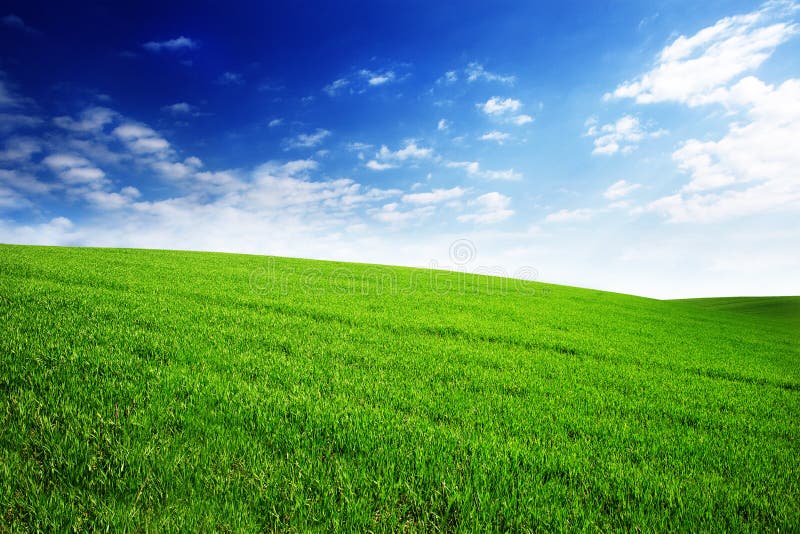 Fält med grönt gräs och himmel med moln Rengöring idylliskt härligt sommarlandskap med solen