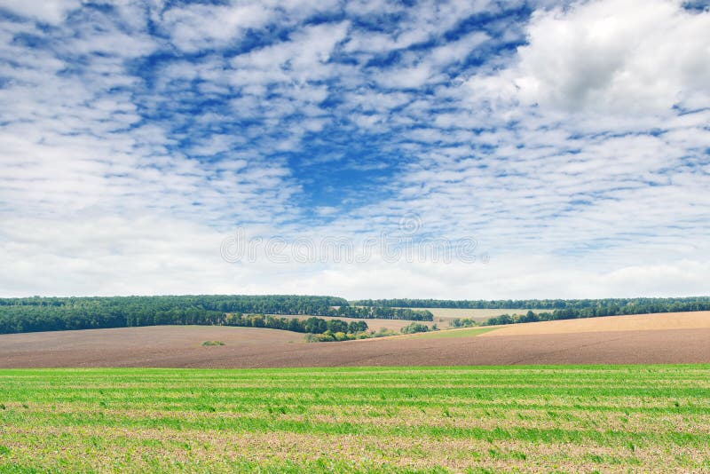 Fält och himmel arkivfoto Fält och himmel arkivfoto