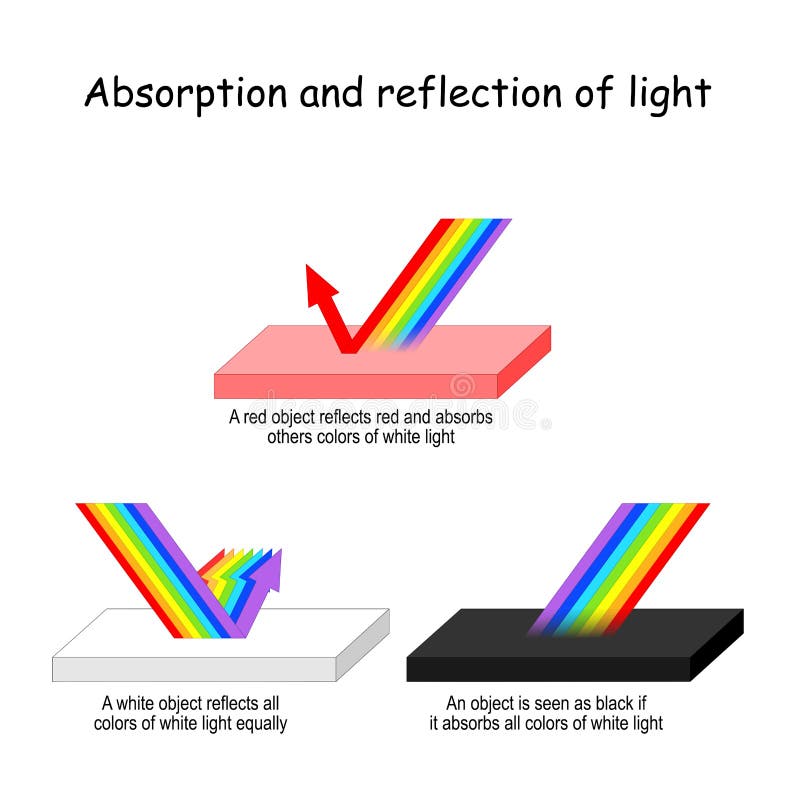 Färgljus Absorption och reflektion