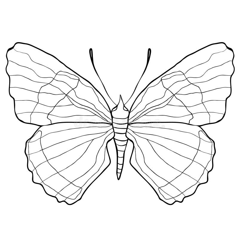 Färgläggning av den Diaethria clymenafjärilen också vektor för coreldrawillustration vektor illustrationer Färgläggning av den Diaethria clymenafjärilen också vektor för coreldrawillustration vektor illustrationer