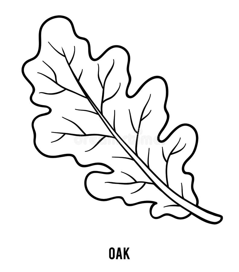 Färgläggningbok, ekblad stock illustrationer