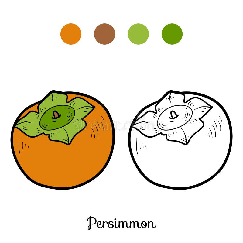 Färgläggningbok: frukter och grönsaker (persimon) stock illustrationer Färgläggningbok: frukter och grönsaker (persimon) stock illustrationer