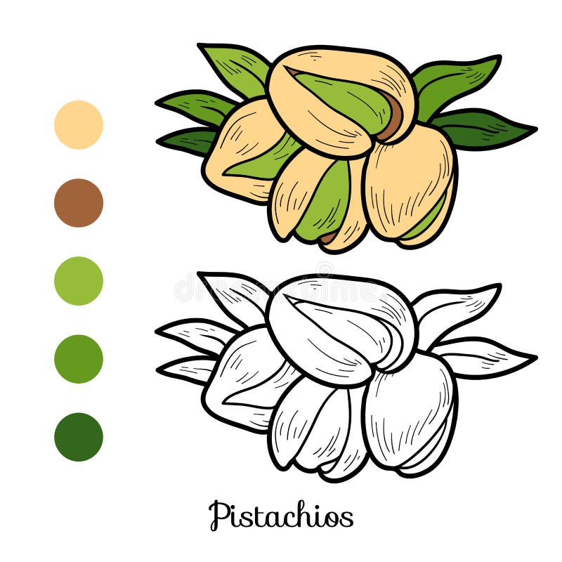 Färgläggningbok: frukter och grönsaker (pistascher) royaltyfri illustrationer Färgläggningbok: frukter och grönsaker (pistascher) royaltyfri illustrationer